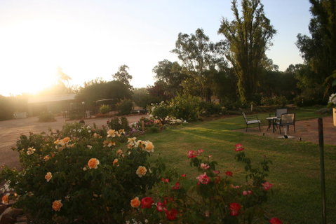 Newell Motor Inn Narrandera - Surfers Gold Coast 3