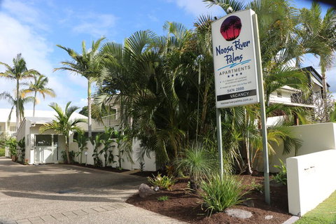 Noosa River Palms - Surfers Gold Coast 2