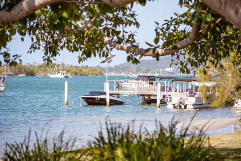Noosa River Palms - Surfers Gold Coast 1