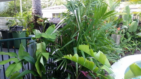 Oasis On Nautilus - Surfers Gold Coast 3