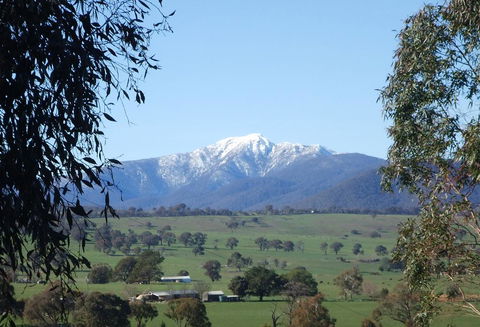 Off Mountain Accommodation - Surfers Gold Coast 0