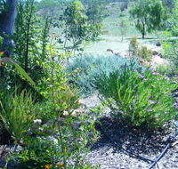 Old Miners' Cottages Bed and Breakfast - Surfers Gold Coast