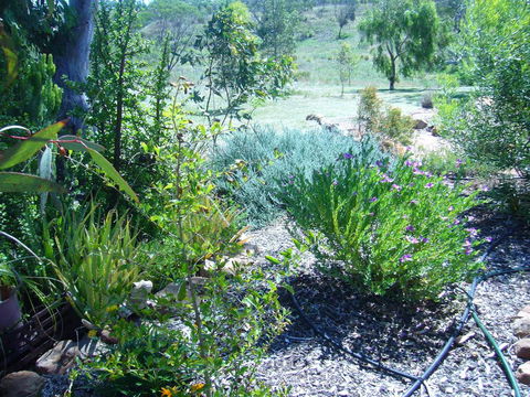 Old Miners' Cottages Bed And Breakfast - Surfers Gold Coast 0