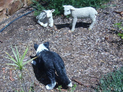 Old Miners' Cottages Bed And Breakfast - Surfers Gold Coast 2