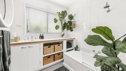 PERIWINKLE - MOUNT MARTHA - Surfers Gold Coast 1