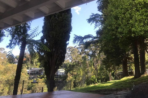 Pine Hill Cottage Acreage In Nature Trees Views Mid Katoomba Leura - Surfers Gold Coast 3