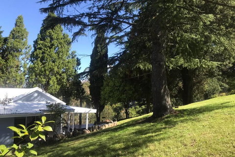 Pine Hill Cottage Acreage In Nature Trees Views Mid Katoomba Leura - Surfers Gold Coast 1