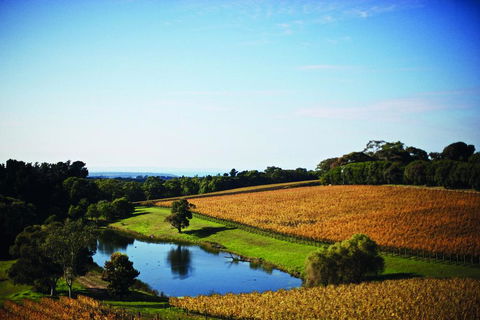 Port Phillip Estate - Surfers Gold Coast 2