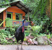 Rainforest Hideaway - Surfers Gold Coast