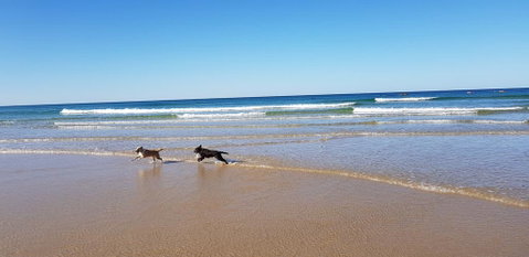 Red Door Beach House - Marcoola Beach - PET FRIENDLY, FOXTEL, WIFI, 500 BOND, Linen Supplied - Surfers Gold Coast 1