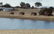 Redtail Ridge Cottages - thumb 2