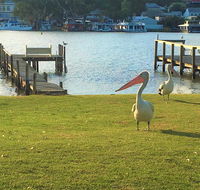 Riverfront Getaway - Mannum - Surfers Gold Coast