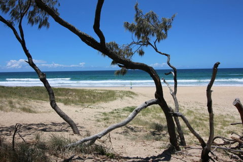 Sea-Hi - Surfers Gold Coast 2