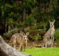 Secura Lifestyle Countryside Kalaru - Surfers Gold Coast