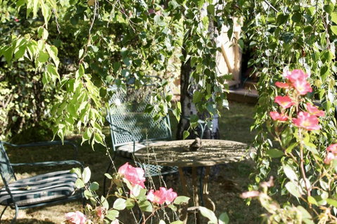 Silver Birch B&B - Surfers Gold Coast 3