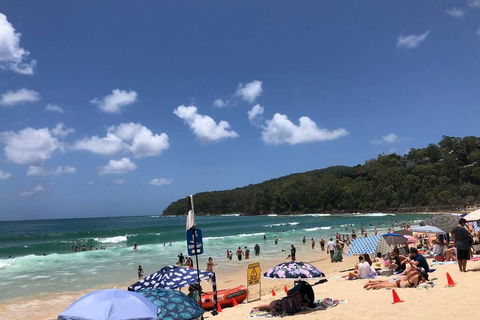 Sunshine Coast Cottage - Surfers Gold Coast 3