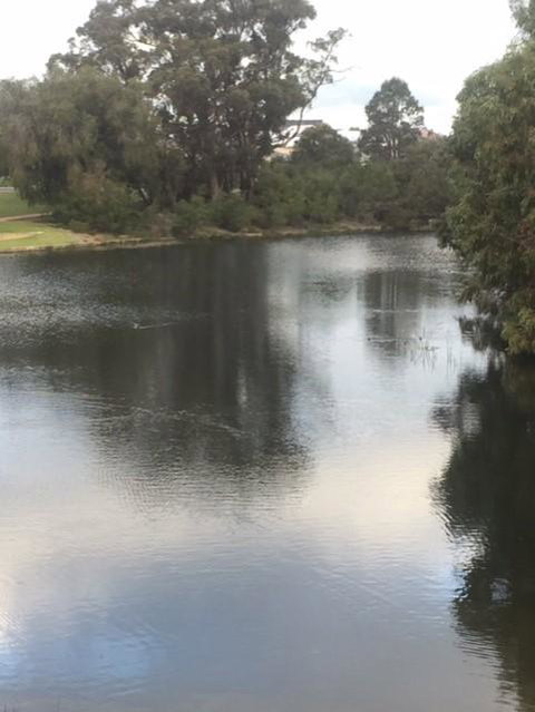 Telperon (2 Rooms, 3-4 Guests) - Surfers Gold Coast 3