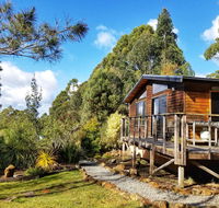 Southern Forest Accommodation - Surfers Gold Coast
