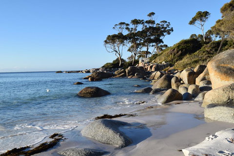 Anchor Wheel Motel - Surfers Gold Coast 26