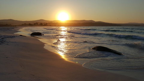 Anchor Wheel Motel - Surfers Gold Coast 25