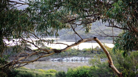 KINGFISHER COTTAGE Beachfront At The Binalong Bay - Surfers Gold Coast 17