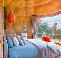 Domescapes in the Vines - Surfers Gold Coast