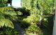 The Wombat Cottage - thumb 4