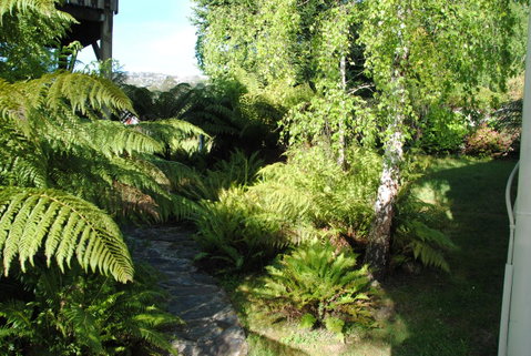 The Wombat Cottage - Surfers Gold Coast 4