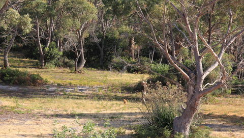 BAY OF FIRES SEACHANGE Ocean Frontage - Surfers Gold Coast 12
