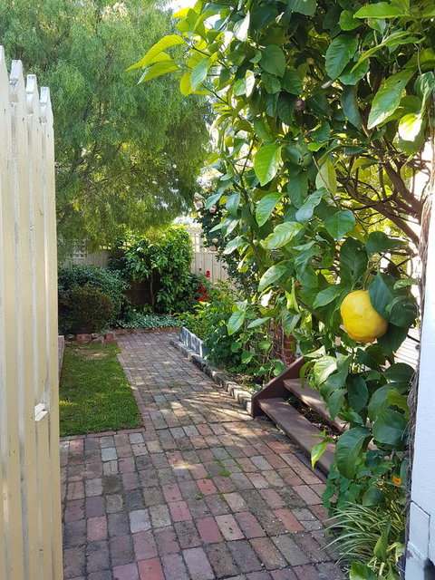 Healesville House - Fig Tree House - Surfers Gold Coast 17