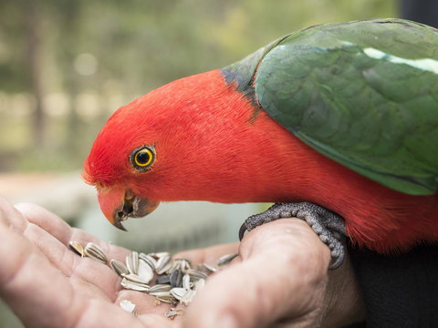 Gipsy Point Lodge & Cottages - Surfers Gold Coast 17