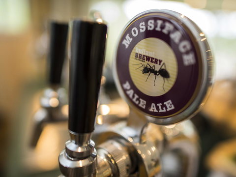 Gipsy Point Lodge & Cottages - Surfers Gold Coast 16