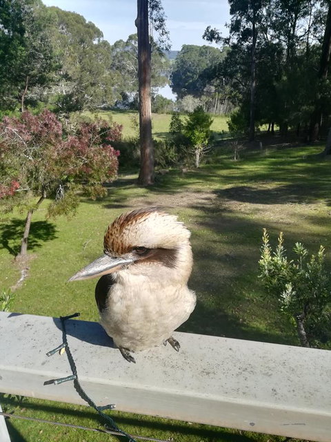 Gipsy Point Lodge & Cottages - Surfers Gold Coast 8