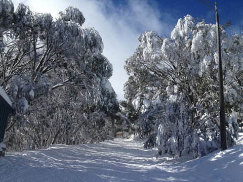Maisonettes Falls Creek - Surfers Gold Coast 17