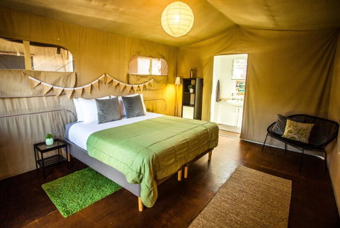 The Beachcamp Eco Retreat - Surfers Gold Coast 2