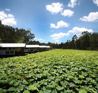 The Boathouses at Leaves  Fishes - Surfers Gold Coast