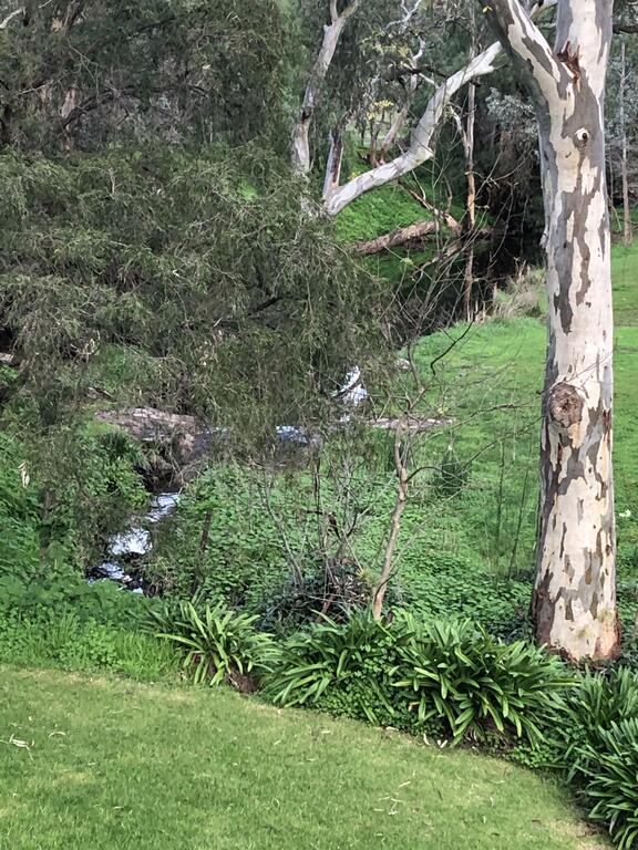 Cockatoo Valley SA Surfers Gold Coast