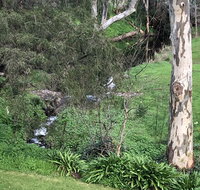 The Miners Cottage Barossa - Surfers Gold Coast