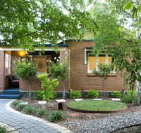 The Orange Fox - Surfers Gold Coast