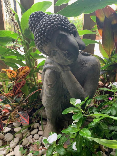 Tranquil Spa Retreat - Surfers Gold Coast 3