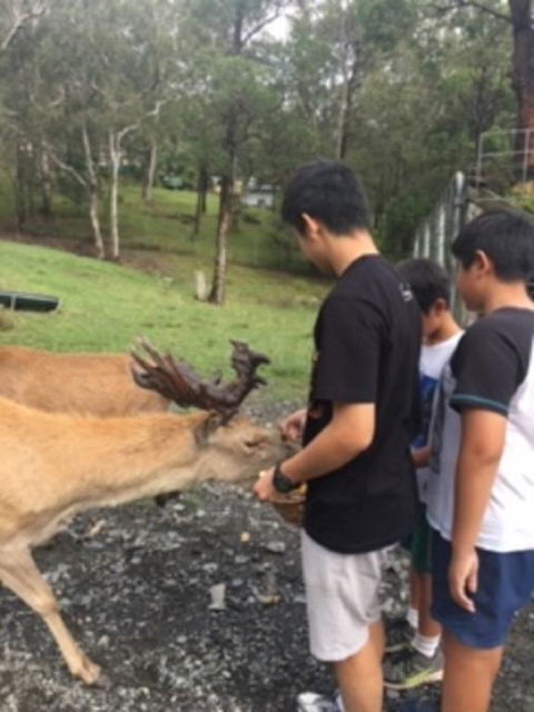 Villa Cervi Property - Surfers Gold Coast 3