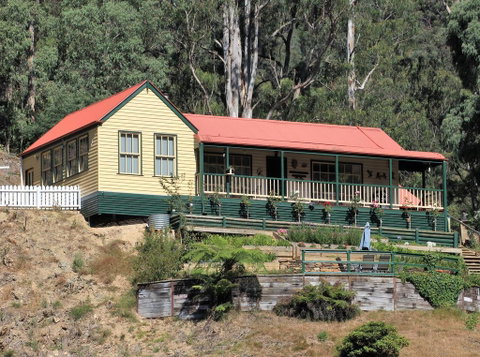 Walhalla Wild Cherry - Surfers Gold Coast 0