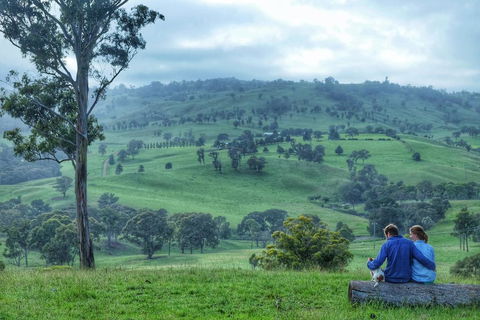 Waterfall Way Farmstay - Surfers Gold Coast 2