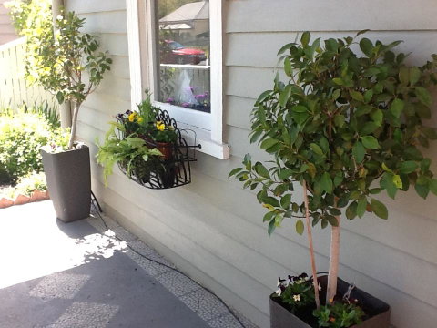 Redruth Cottage - Surfers Gold Coast 19