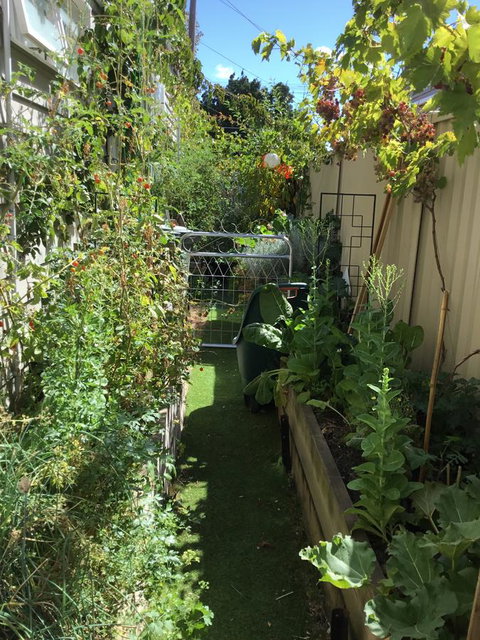Redruth Cottage - Surfers Gold Coast 7