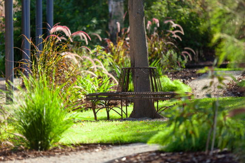 Blazing Stump Motel & Suites - Surfers Gold Coast 35