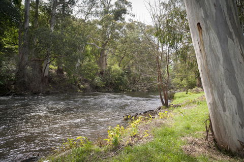 Oscar\'s On The Yarra - Surfers Gold Coast 23