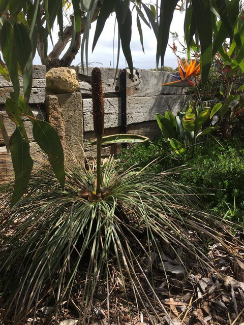 The PC Cottage - Surfers Gold Coast 32