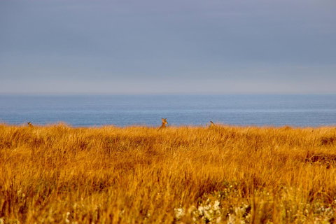 The PC Cottage - Surfers Gold Coast 39