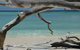 Beach Club Port Douglas Luxury Apartments - thumb 23